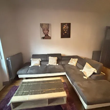 Huitieme Avenue Grand Parking Un Sejour A Part 公寓 梅斯